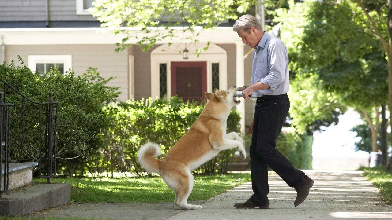 Mój przyjaciel Hachiko