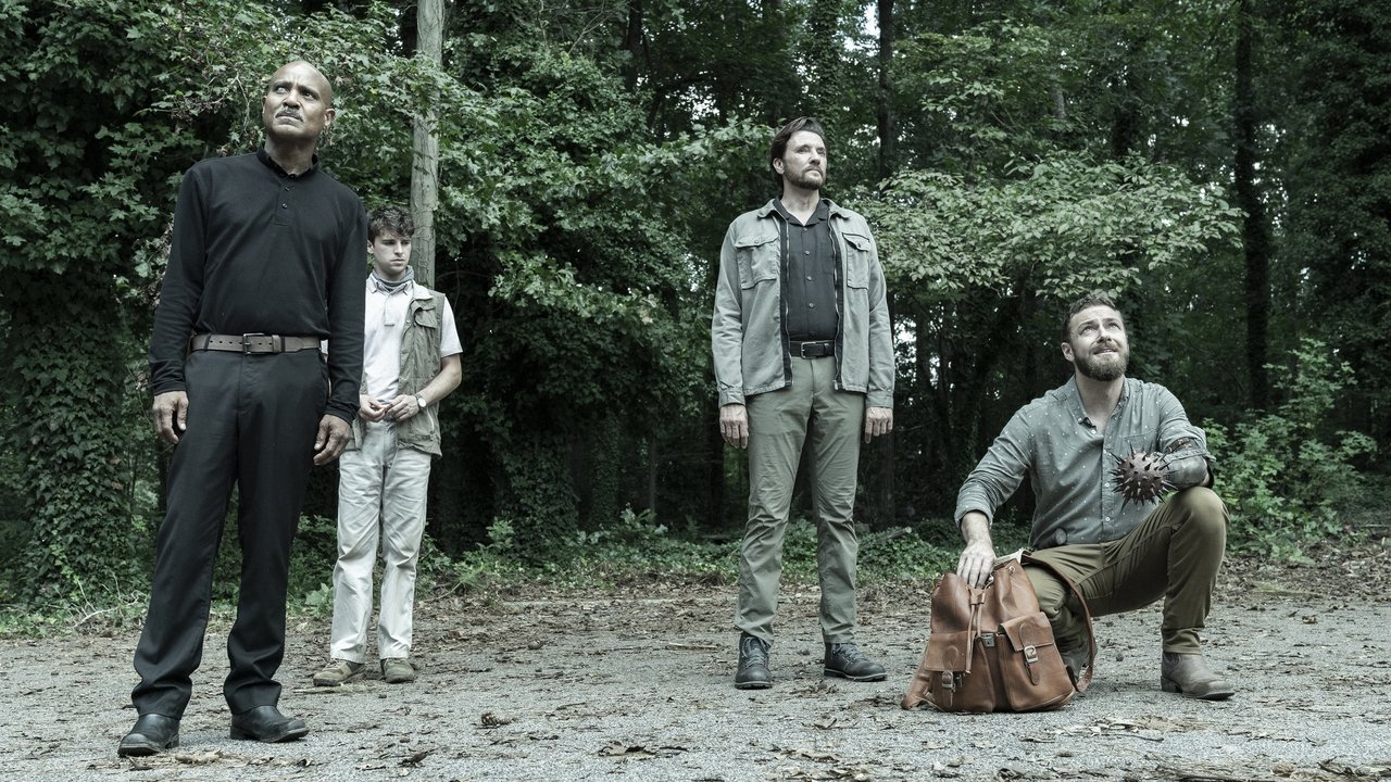 The Walking Dead {se_code} - Vider