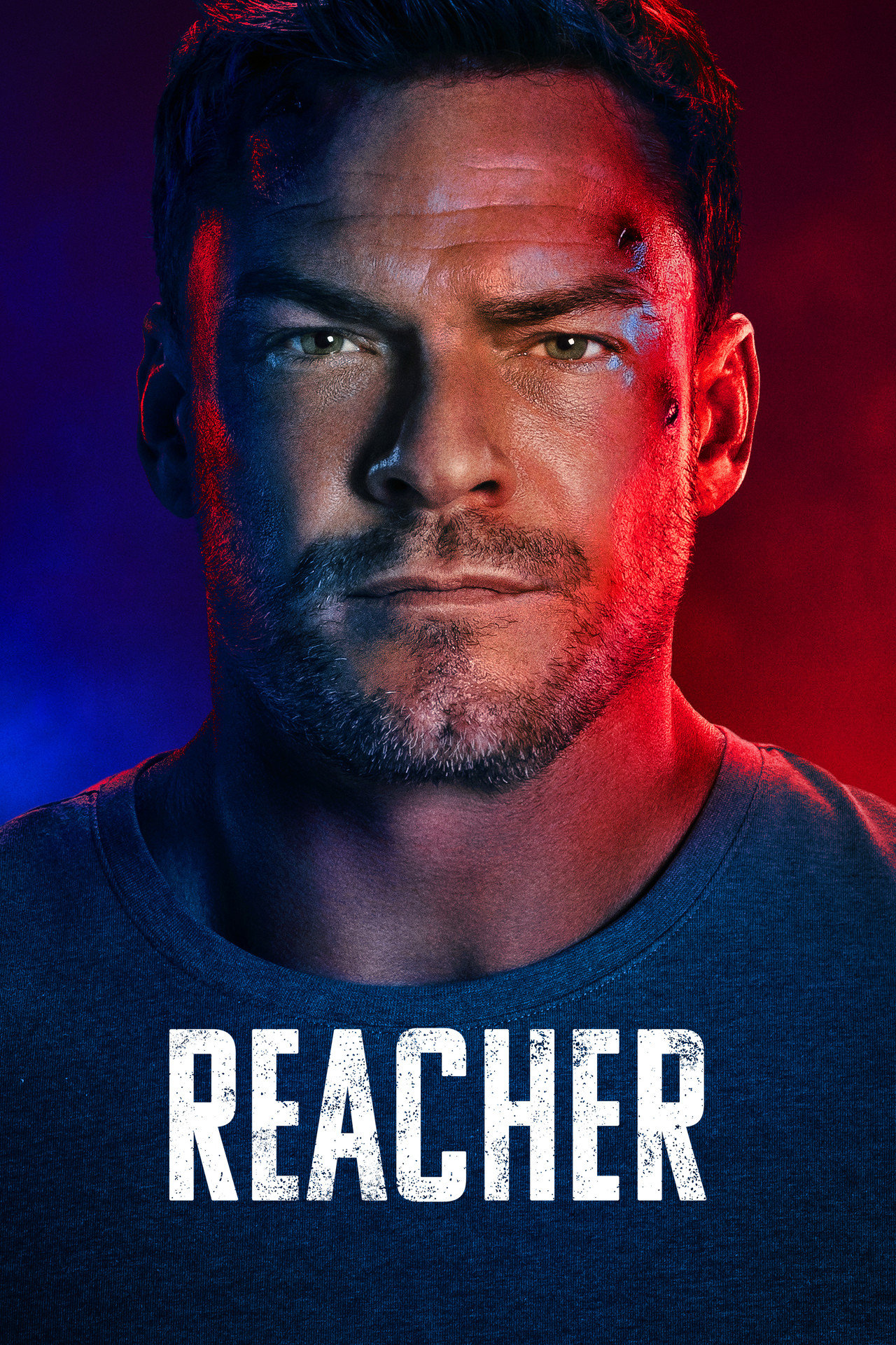 Reacher Sezon 4 - Vider