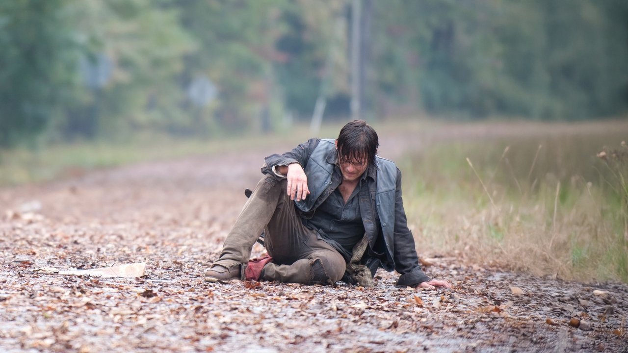 The Walking Dead {se_code} - Vider
