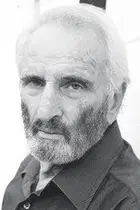 Νικήτας Τσακίρογλου