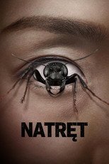 Natręt (2025) - Vider
