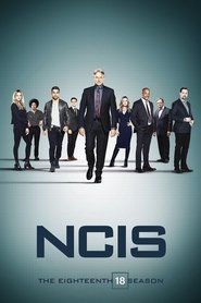 Agenci NCIS Sezon 18 - Vider