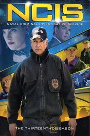 Agenci NCIS Sezon 13 - Vider