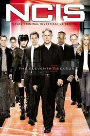 Agenci NCIS Sezon 11 - Vider