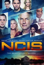 Agenci NCIS Sezon 17 - Vider