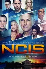 Agenci NCIS Sezon 17 - Vider
