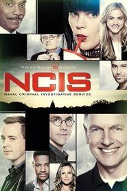 Agenci NCIS Sezon 15 - Vider