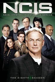 Agenci NCIS Sezon 8 - Vider