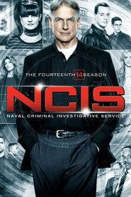 Agenci NCIS Sezon 14 - Vider