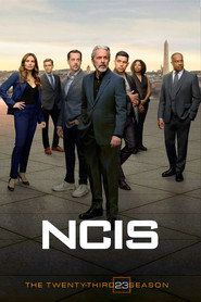 Agenci NCIS Sezon 23 - Vider