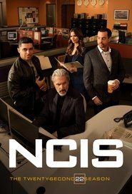 Agenci NCIS Sezon 22 - Vider