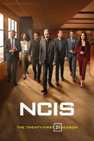 Agenci NCIS Sezon 21 - Vider