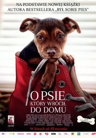 O psie, który wrócił do domu Cały Film (2019) - Vider
