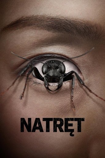 Natręt (2025) - Vider