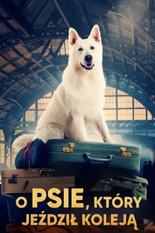 O psie, który jeździł koleją Cały Film (2023) - Vider