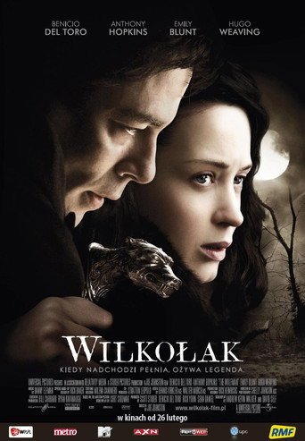 Wilkołak (2010) - Vider
