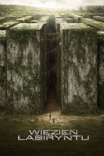 Więzień labiryntu Cały Film (2014) - Vider