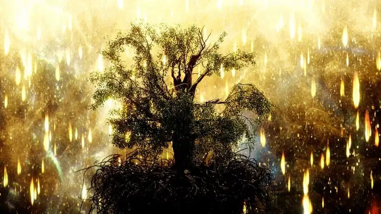 Źródło Cały Film (2006) - Vider