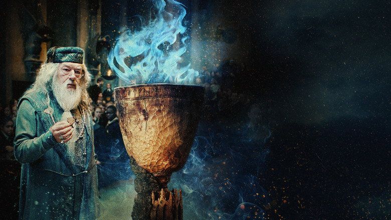 Harry Potter i Czara Ognia (2005) - Vider