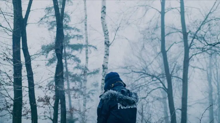 Prześwit Cały Film (2025) - Vider