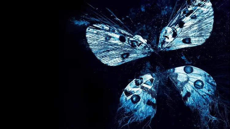 Efekt Motyla 3 Cały Film (2009) - Vider