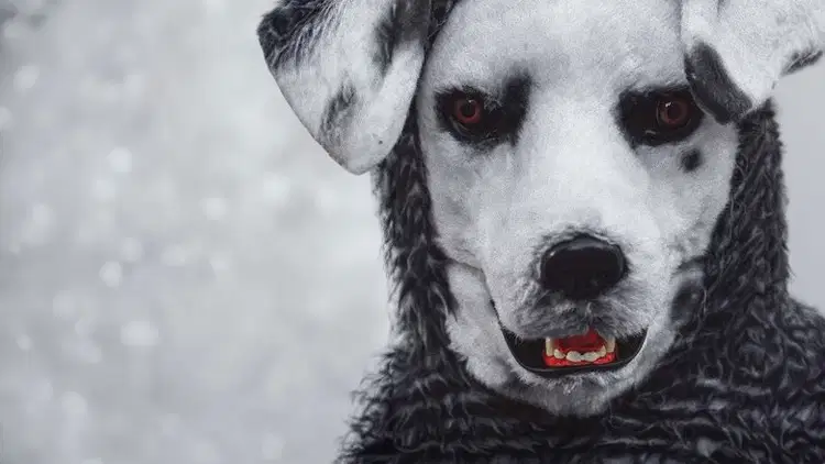 Dobry piesek! Cały Film (2022) - Vider
