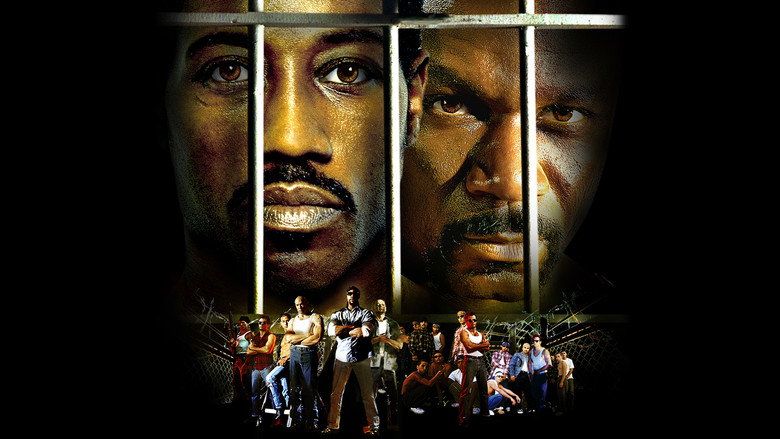 Champion Cały Film (2002) - Vider