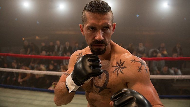Champion 4: Walka o honor Cały Film (2016) - Vider