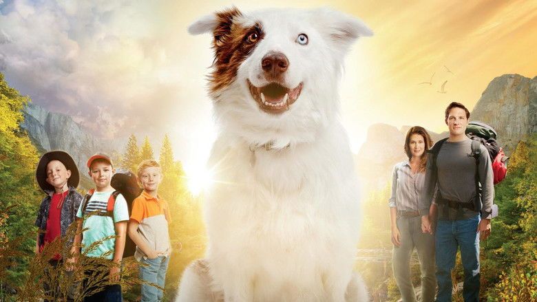 The Stray Cały Film (2017) - Vider